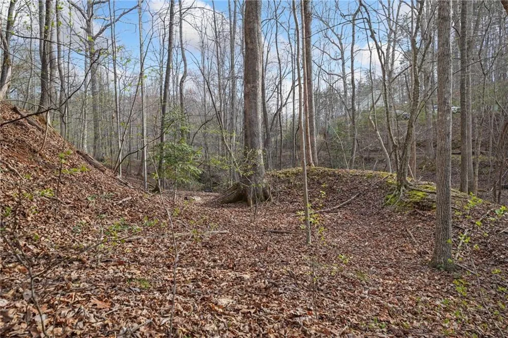49 Old Stamp Mill Road Dahlonega, GA 30533