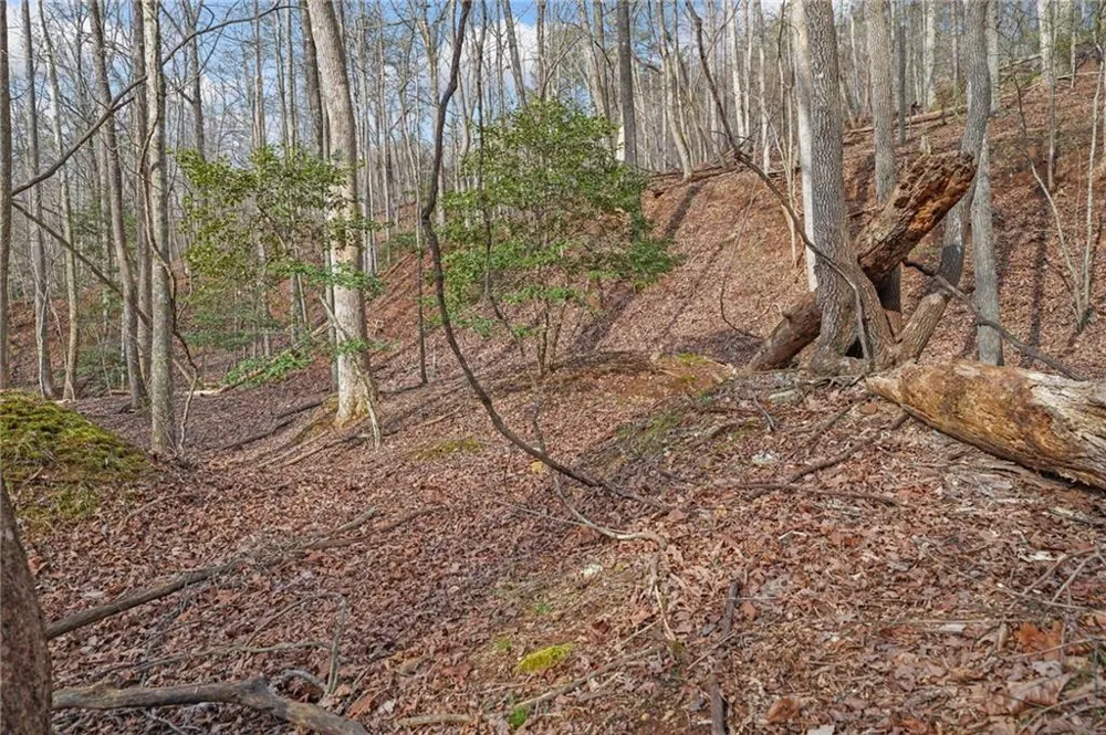 49 Old Stamp Mill Road Dahlonega, GA 30533