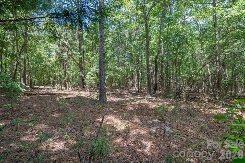 72 Thurman Garage Lane Jefferson, SC 29718