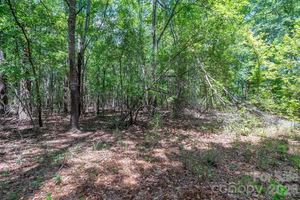 72 Thurman Garage Lane Jefferson, SC 29718