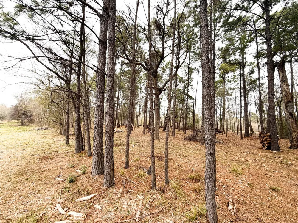 Eunice Pvt Alvin, TX 77511