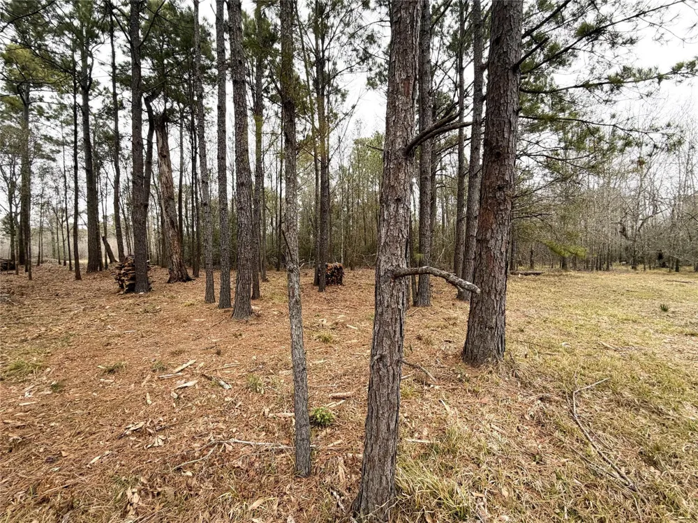 Eunice Pvt Alvin, TX 77511