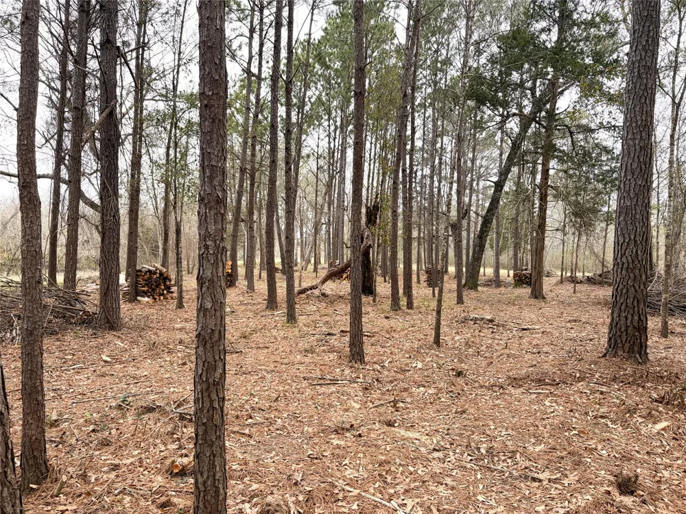 Eunice Pvt Alvin, TX 77511