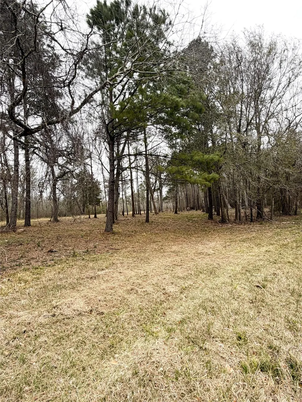 Eunice Pvt Alvin, TX 77511