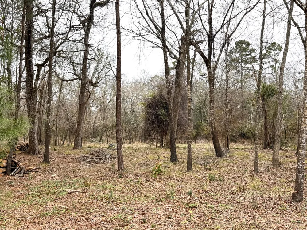 Eunice Pvt Alvin, TX 77511