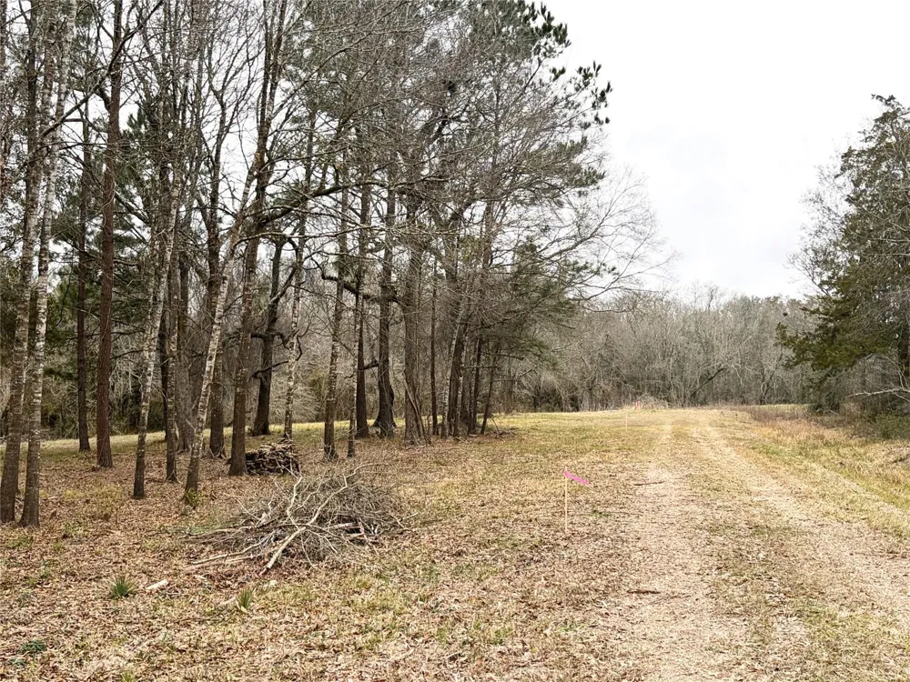 Eunice Pvt Alvin, TX 77511