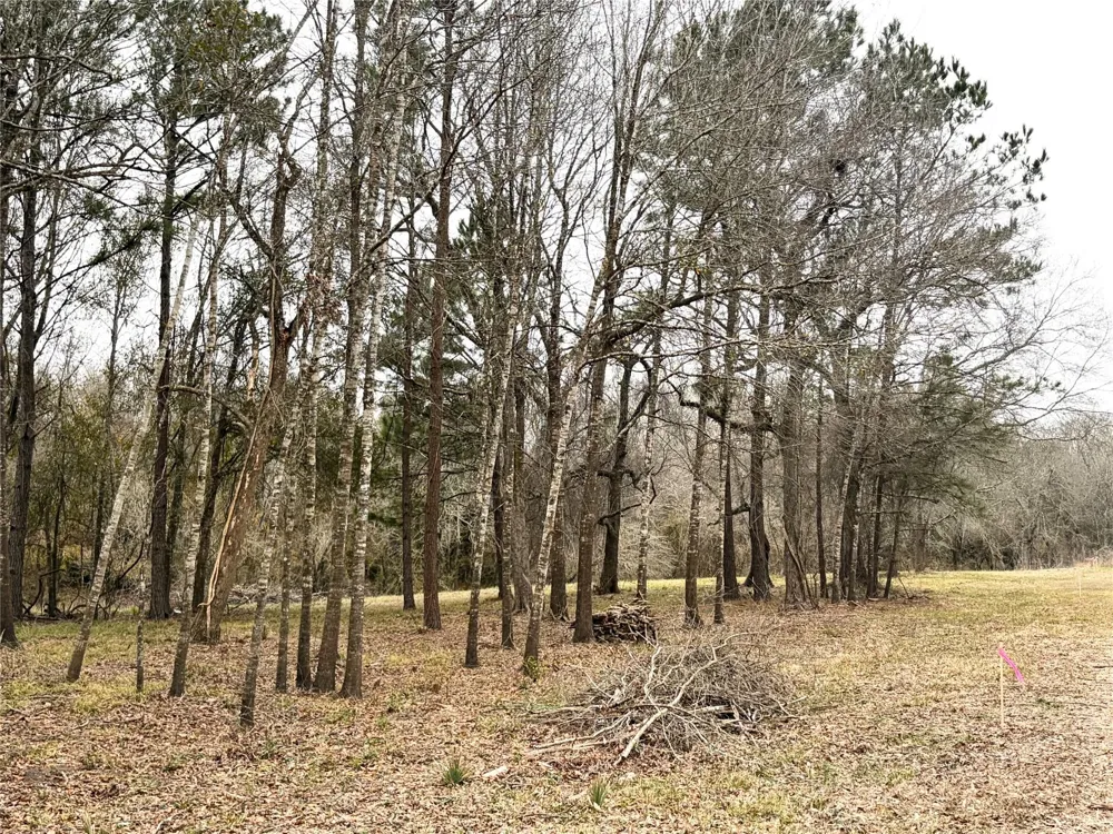 Eunice Pvt Alvin, TX 77511