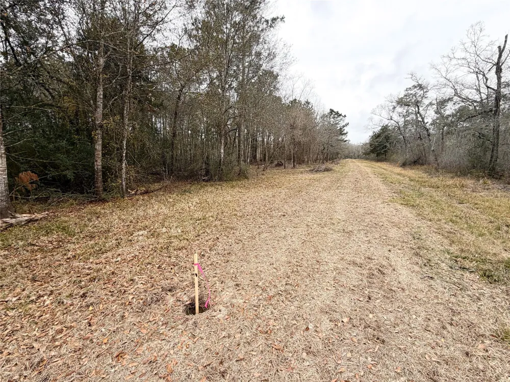 Eunice Pvt Alvin, TX 77511
