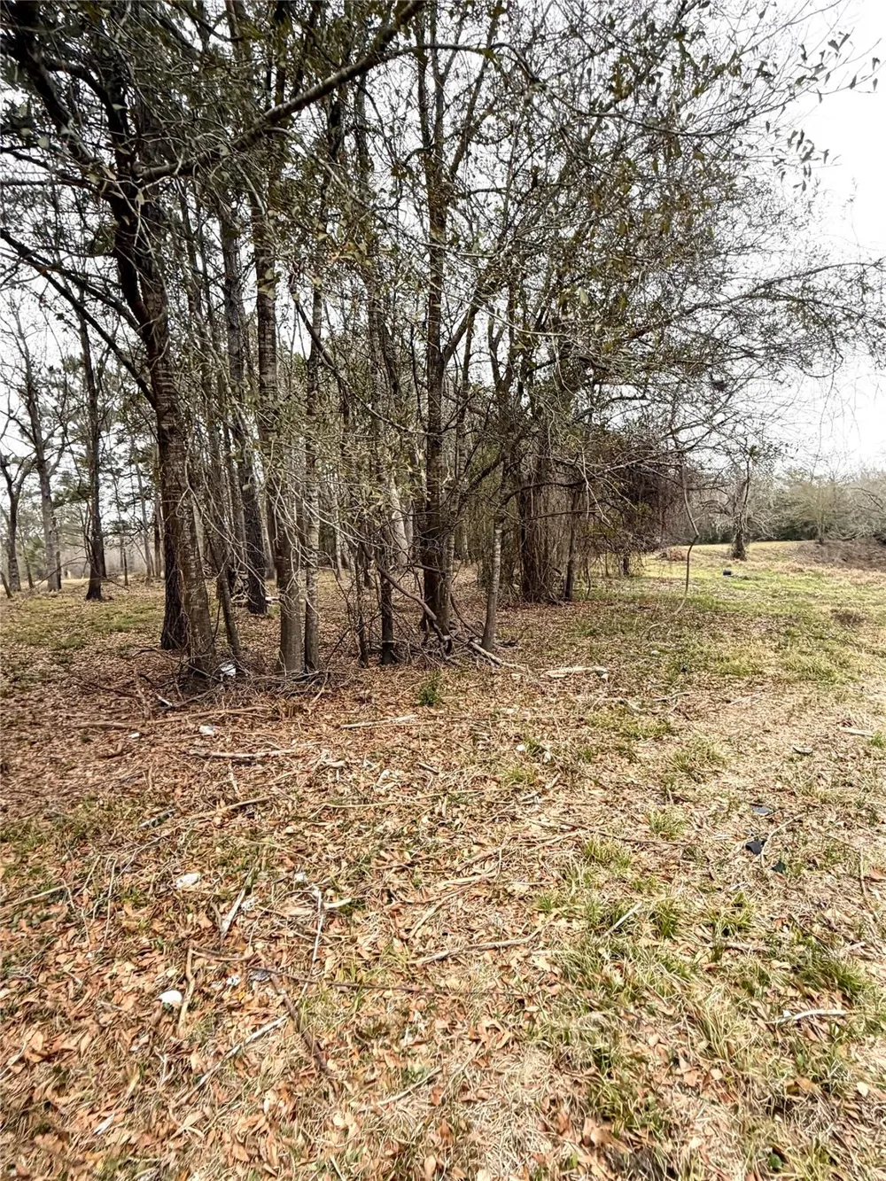 Eunice Pvt Alvin, TX 77511