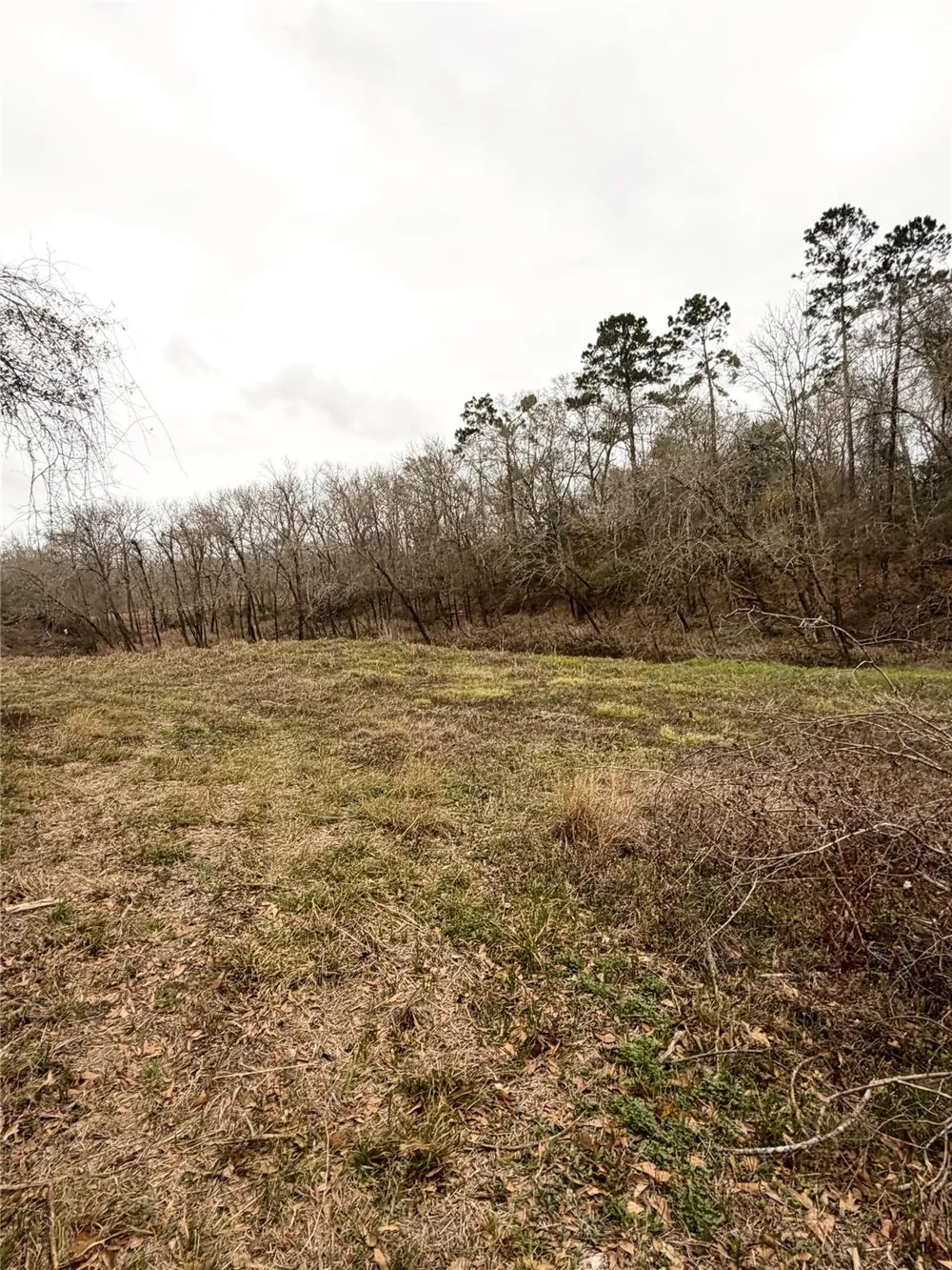 Eunice Pvt Alvin, TX 77511