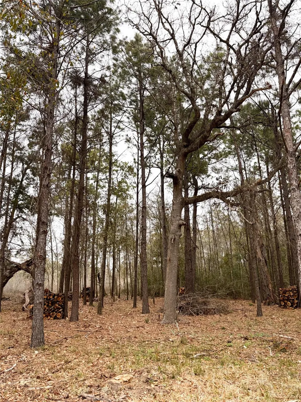 Eunice Pvt Alvin, TX 77511