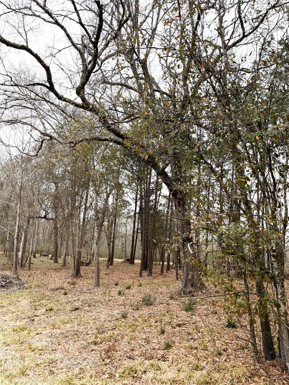 Eunice Pvt Alvin, TX 77511