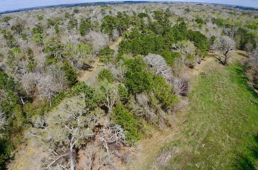 Eunice Pvt Alvin, TX 77511