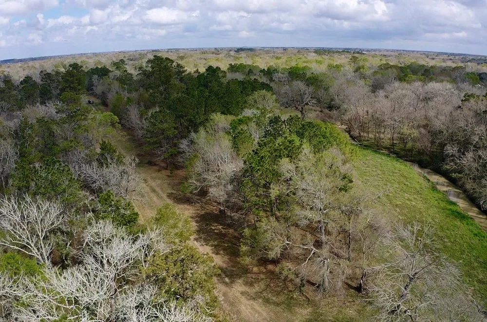 Eunice Pvt Alvin, TX 77511