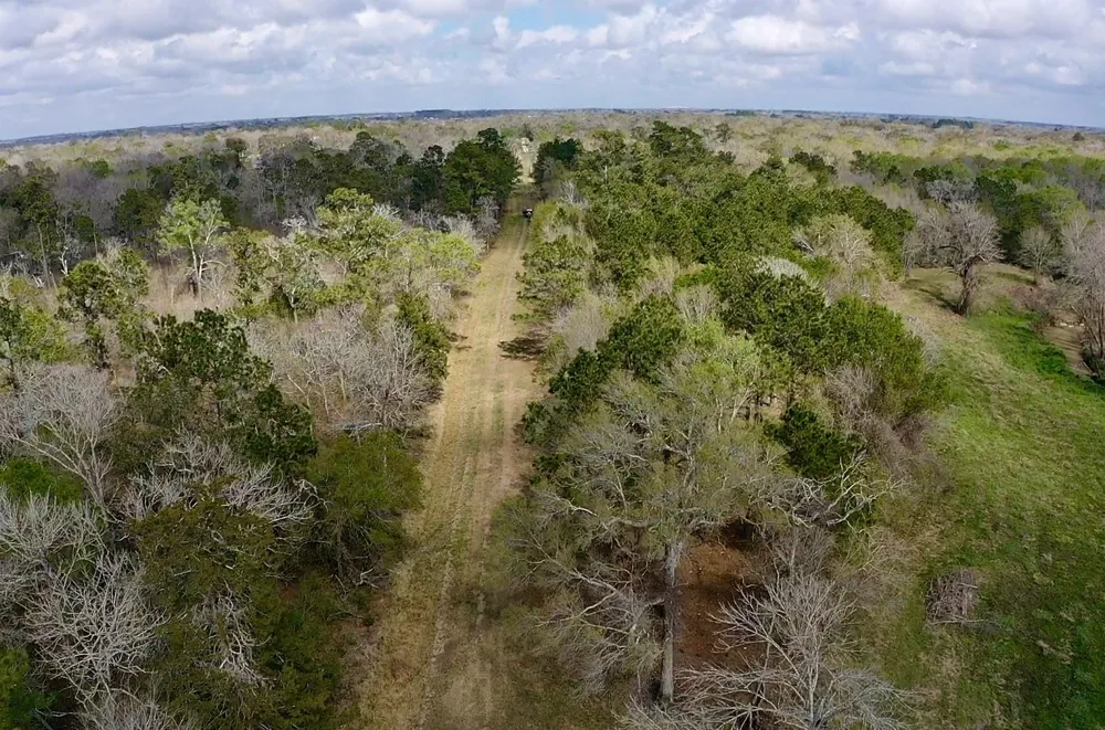Eunice Pvt Alvin, TX 77511