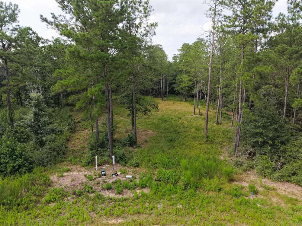159 Gypsum Road New Waverly, TX 77378