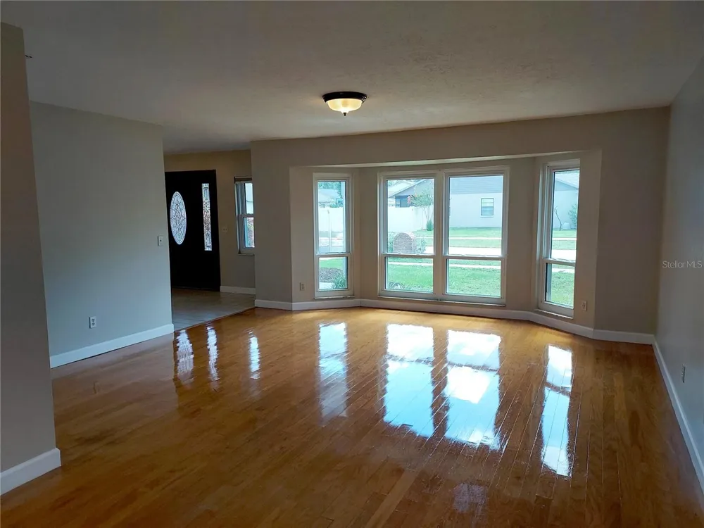 702 HYSSOP PLACE Brandon, FL 33510