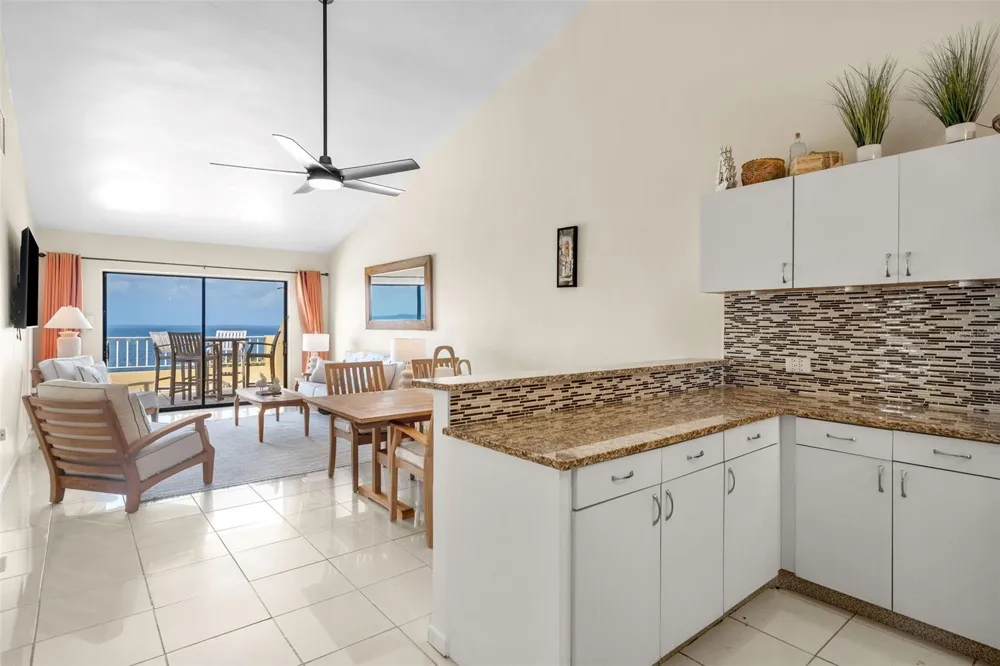 295 Palmas Inn Way PALMAS INN WAY #406 Humacao, PR 00791