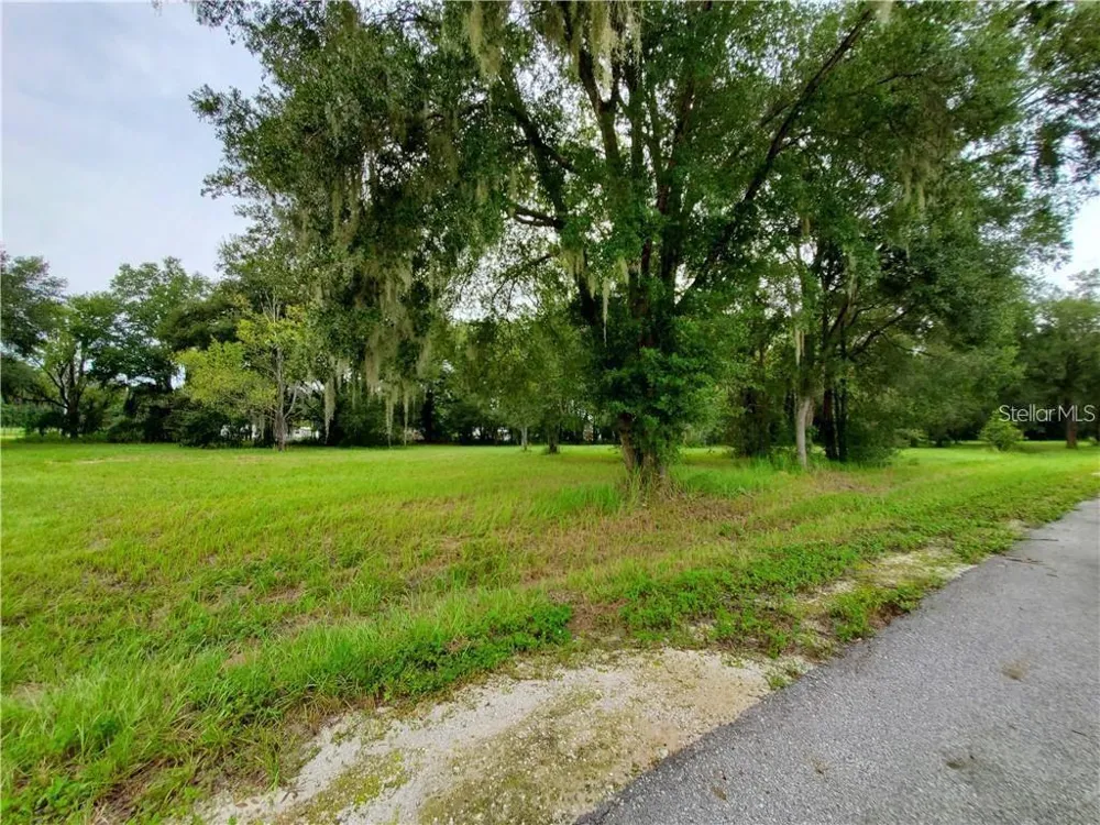 FRAZEE COURT Dade City, FL 33523