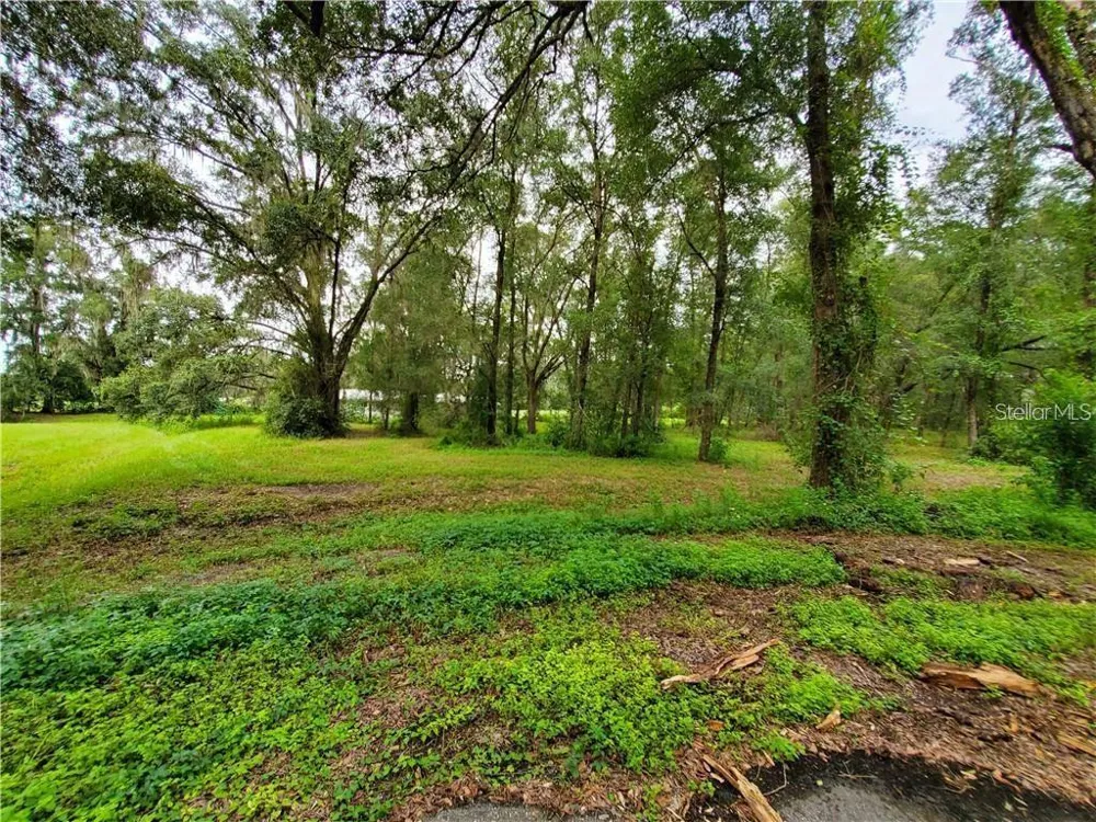 FRAZEE COURT Dade City, FL 33523