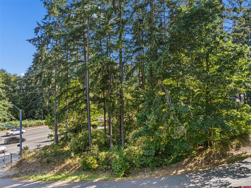 4618 Timber Lane NW Gig Harbor, WA 98335
