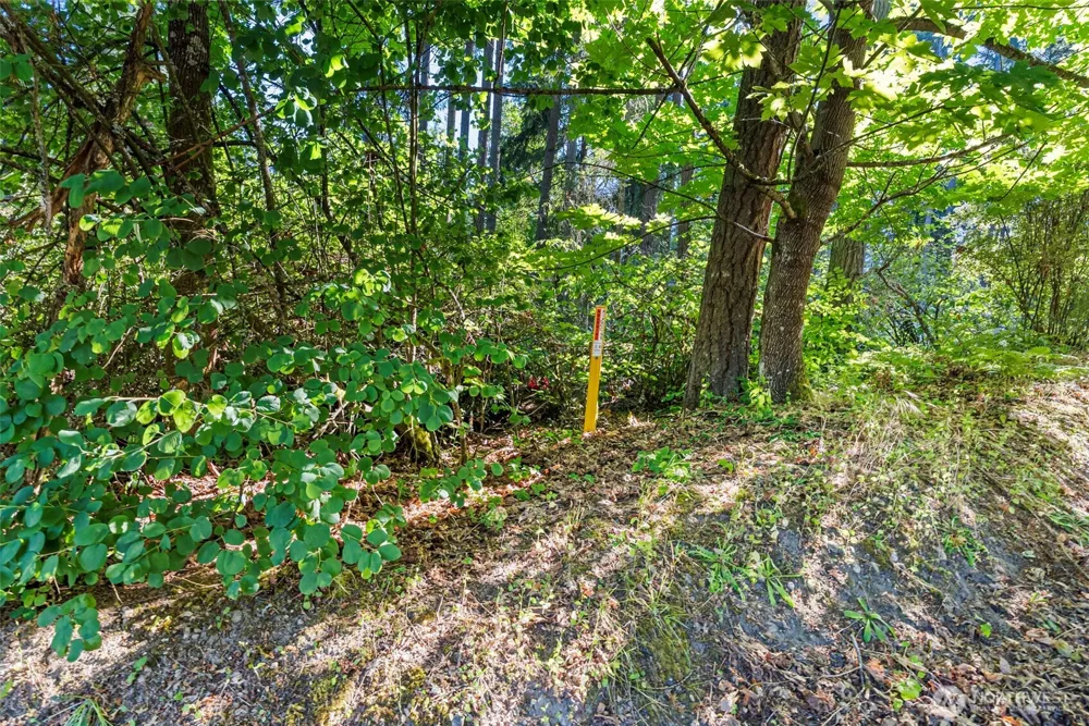 4618 Timber Lane NW Gig Harbor, WA 98335