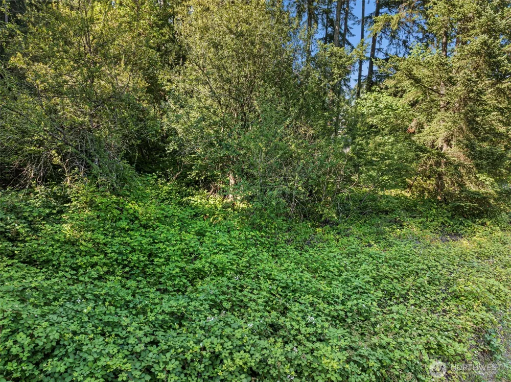 4618 Timber Lane NW Gig Harbor, WA 98335