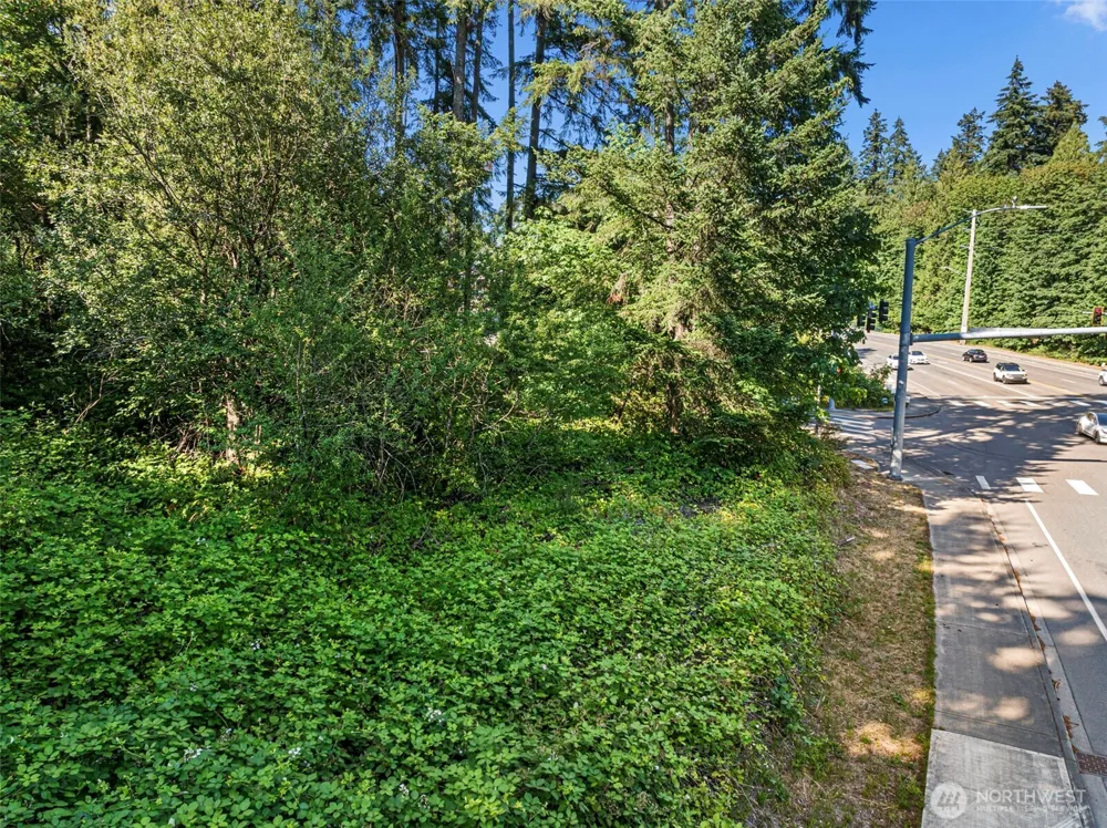 4618 Timber Lane NW Gig Harbor, WA 98335