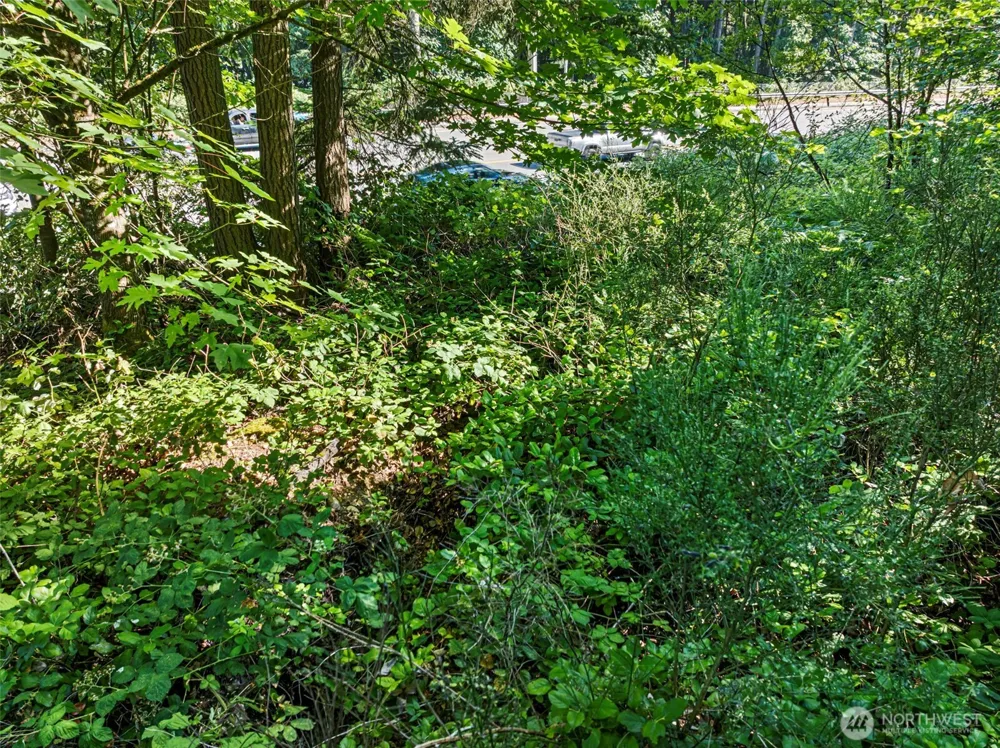 4618 Timber Lane NW Gig Harbor, WA 98335