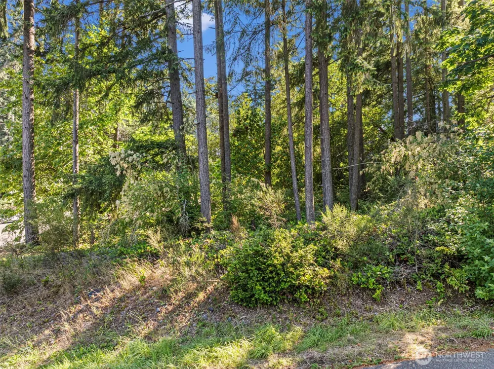 4618 Timber Lane NW Gig Harbor, WA 98335