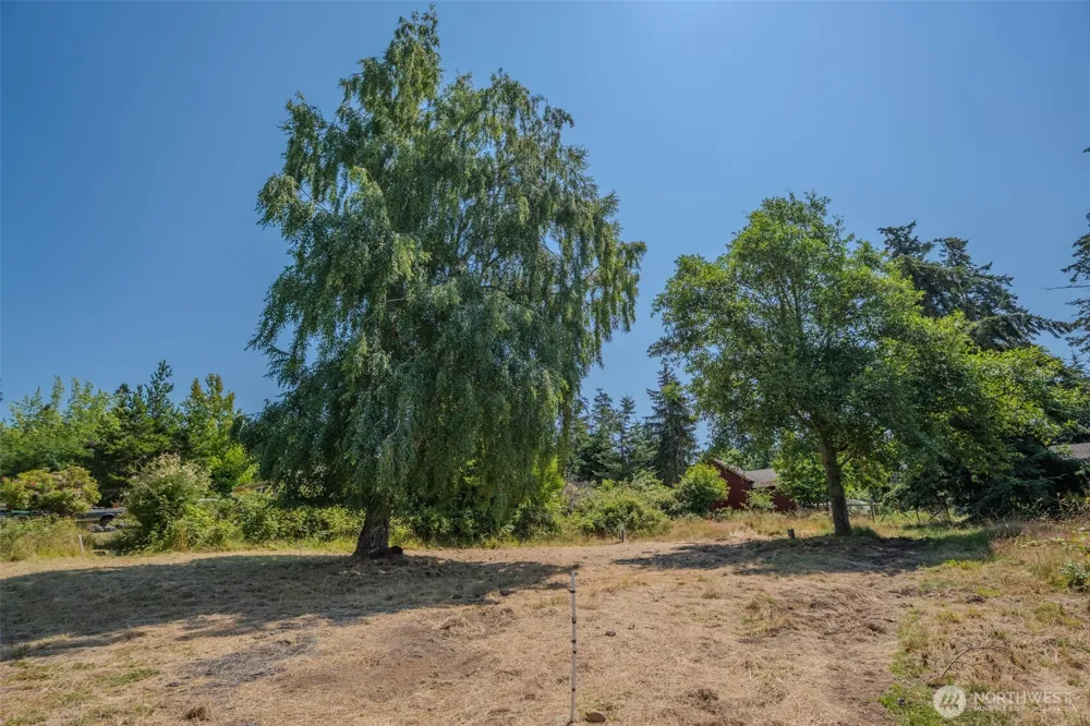 118 Alder Street Orcas Island, WA 98245