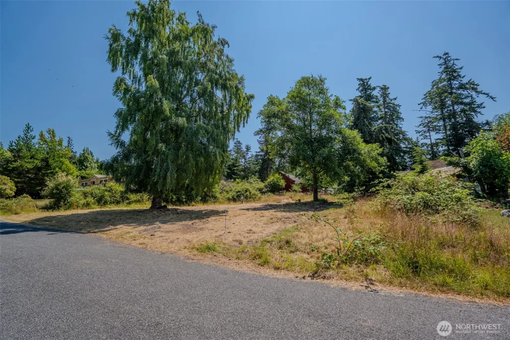 118 Alder Street Orcas Island, WA 98245