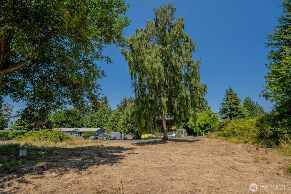 118 Alder Street Orcas Island, WA 98245
