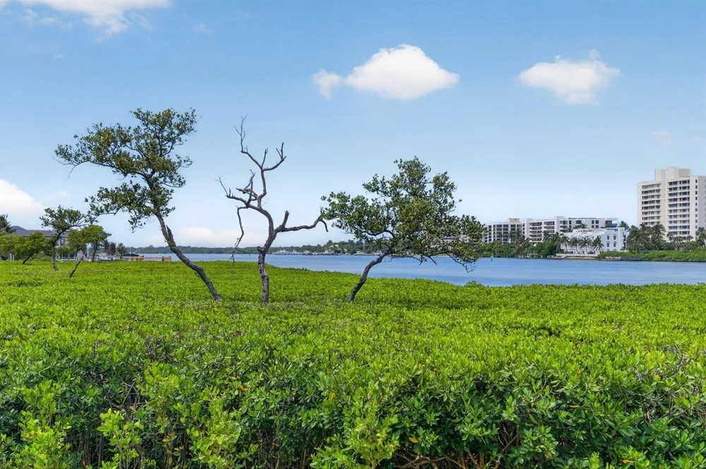200 Waterway Road #104 Tequesta, FL 33469