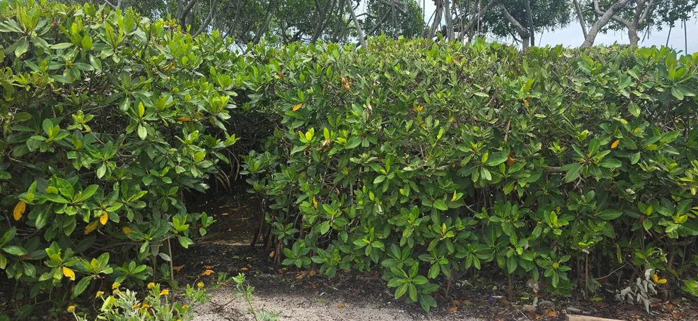 200 Waterway Road #104 Tequesta, FL 33469