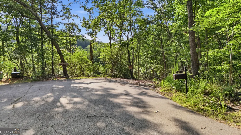 52 Timberlake CT Toccoa, GA 30577