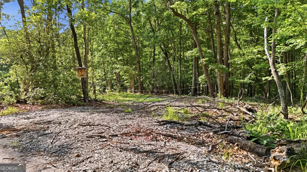 52 Timberlake CT Toccoa, GA 30577