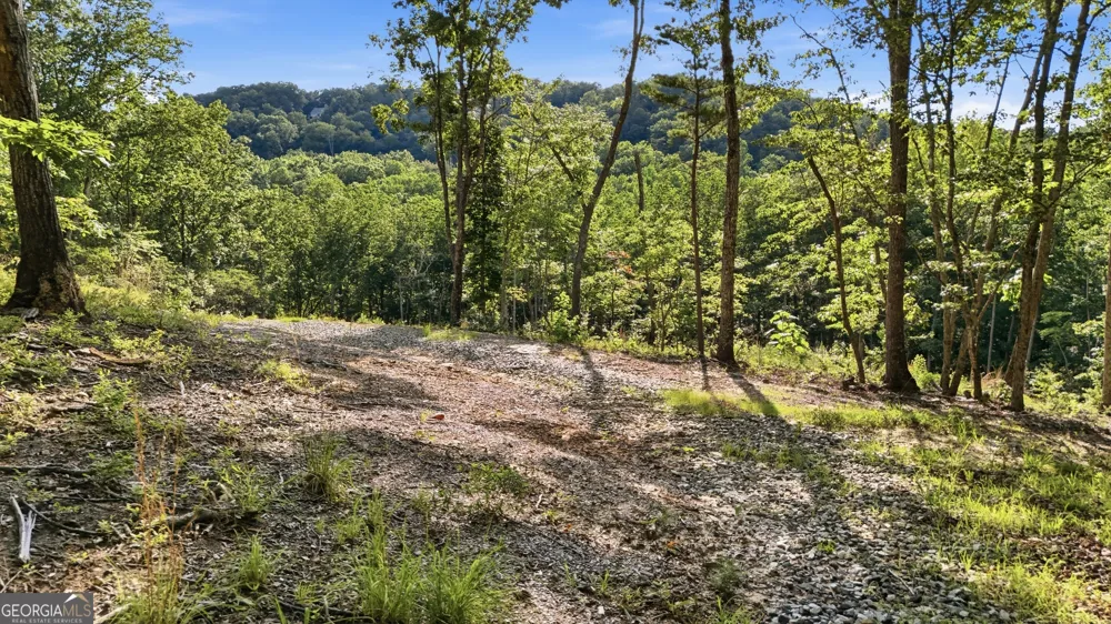 52 Timberlake CT Toccoa, GA 30577
