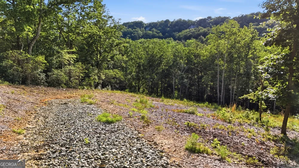 52 Timberlake CT Toccoa, GA 30577