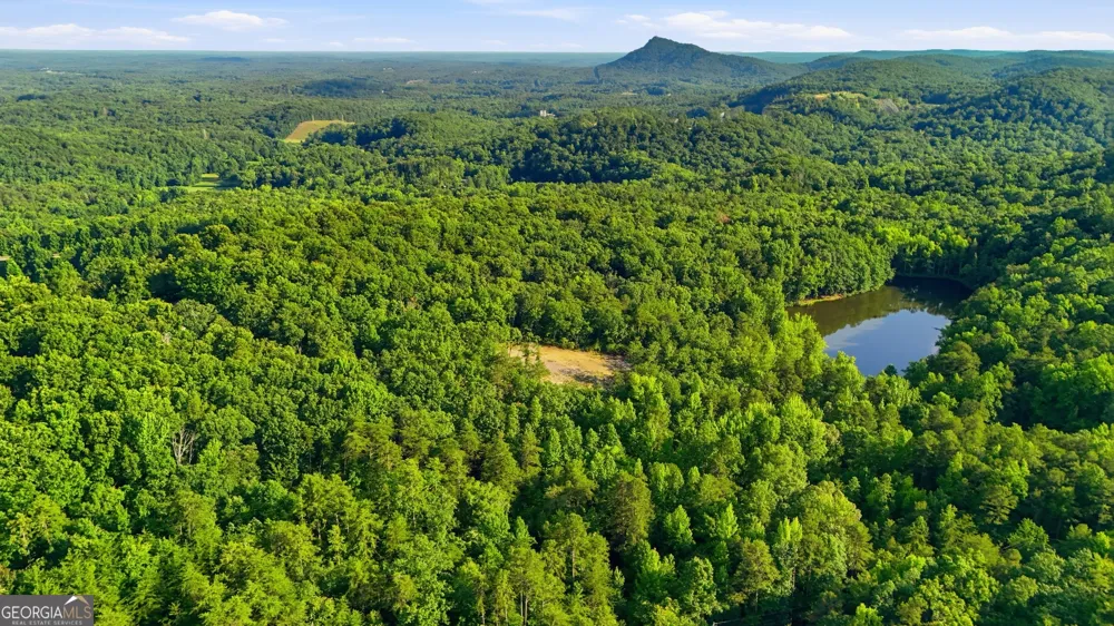 52 Timberlake CT Toccoa, GA 30577