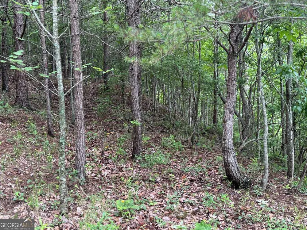 575 Galaxy WAY NE Ranger, GA 30734