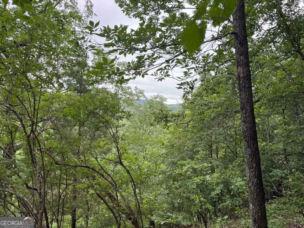 575 Galaxy WAY NE Ranger, GA 30734