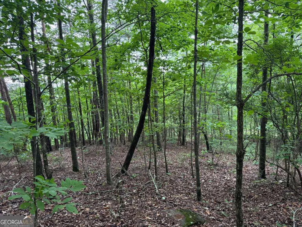 575 Galaxy WAY NE Ranger, GA 30734