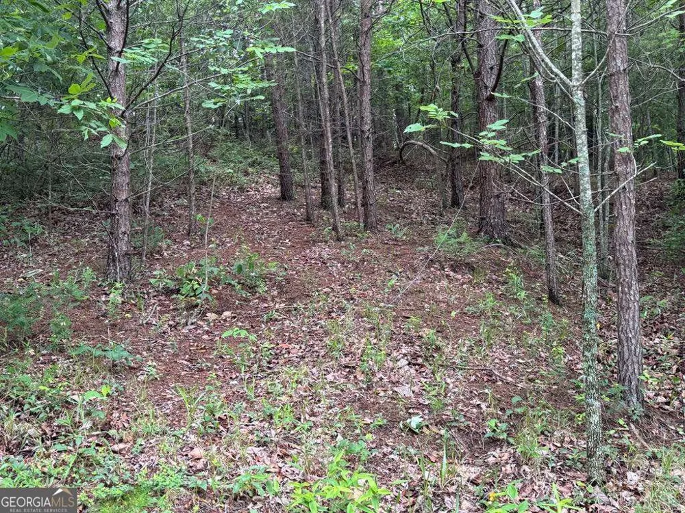 575 Galaxy WAY NE Ranger, GA 30734