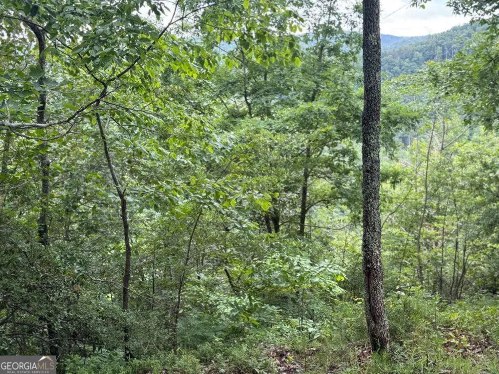 575 Galaxy WAY NE Ranger, GA 30734