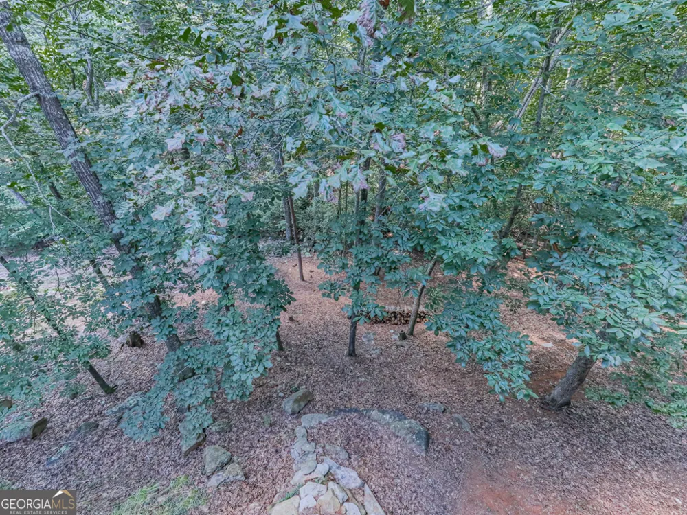 137 Blue Fox LOOP Waleska, GA 30183