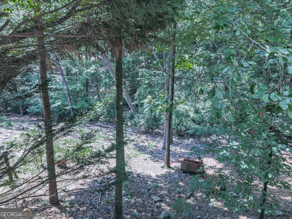 137 Blue Fox LOOP Waleska, GA 30183