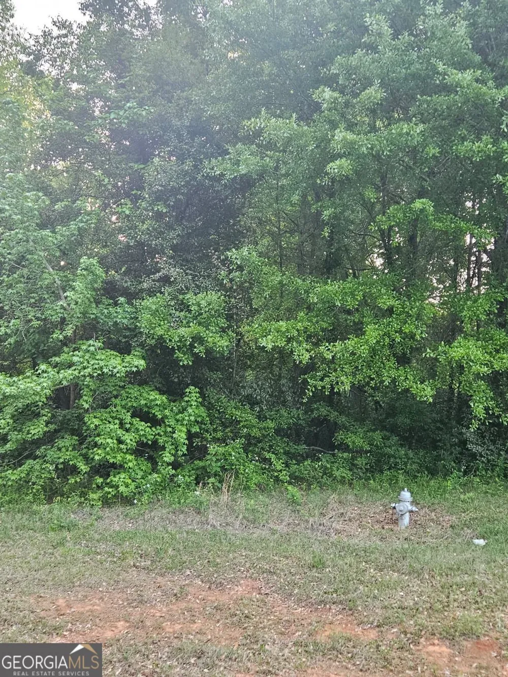 974 W Hemphill RD Stockbridge, GA 30281