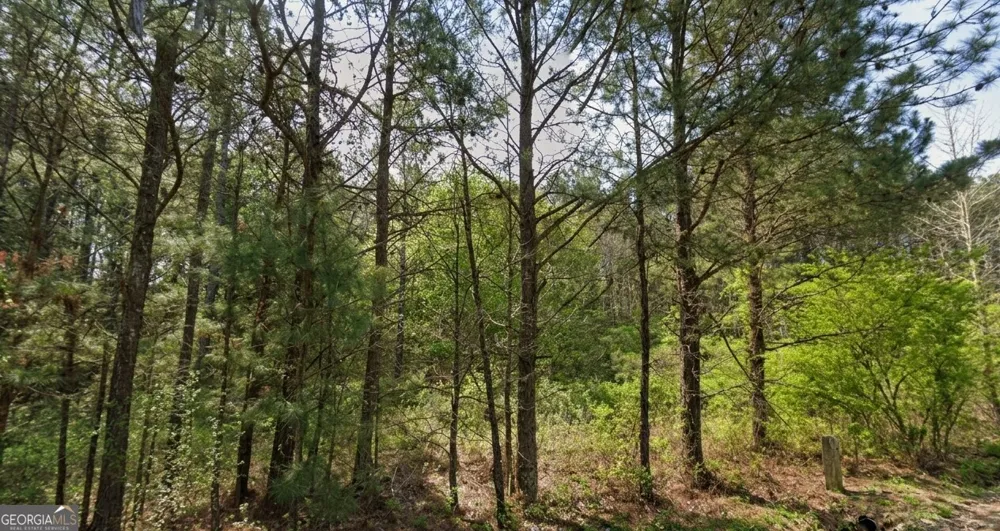 0 Collard Valley RD Aragon, GA 30104