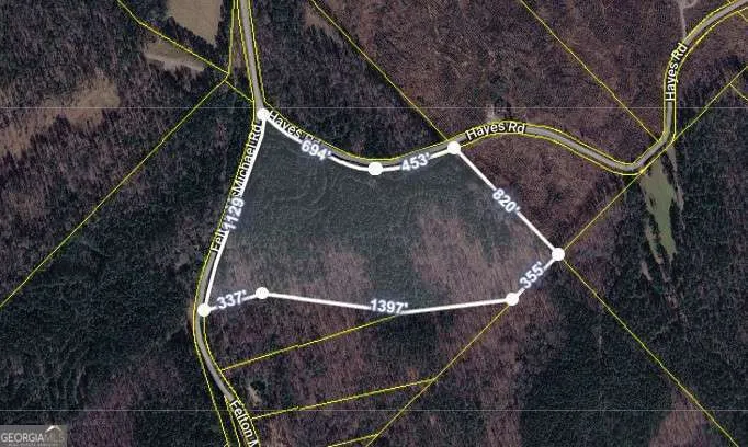 0 Felton Mcmichael Rd & Hayes - Landlot 090 RD Monticello, GA 31064